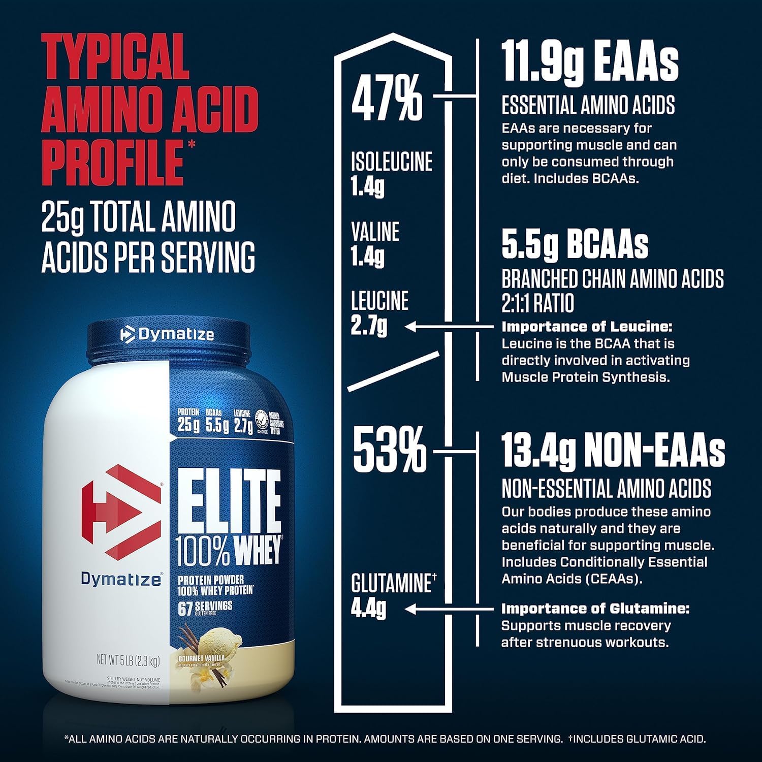 Bột protein Dymatize Elite 100% Whey