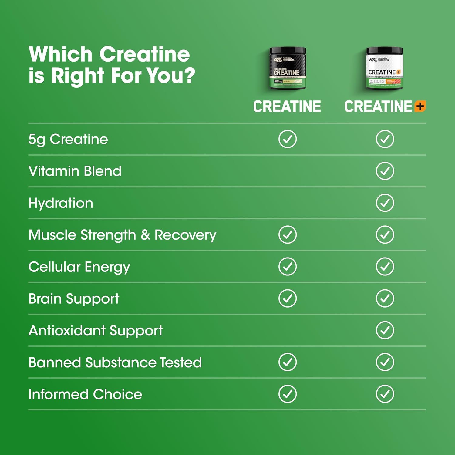 Optimum Nutrition Bột Creatine Vi Hóa 300g